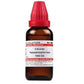 Dr. Willmar Schwabe India Calcarea hypophosphorosa Dilution | Swadesiicart