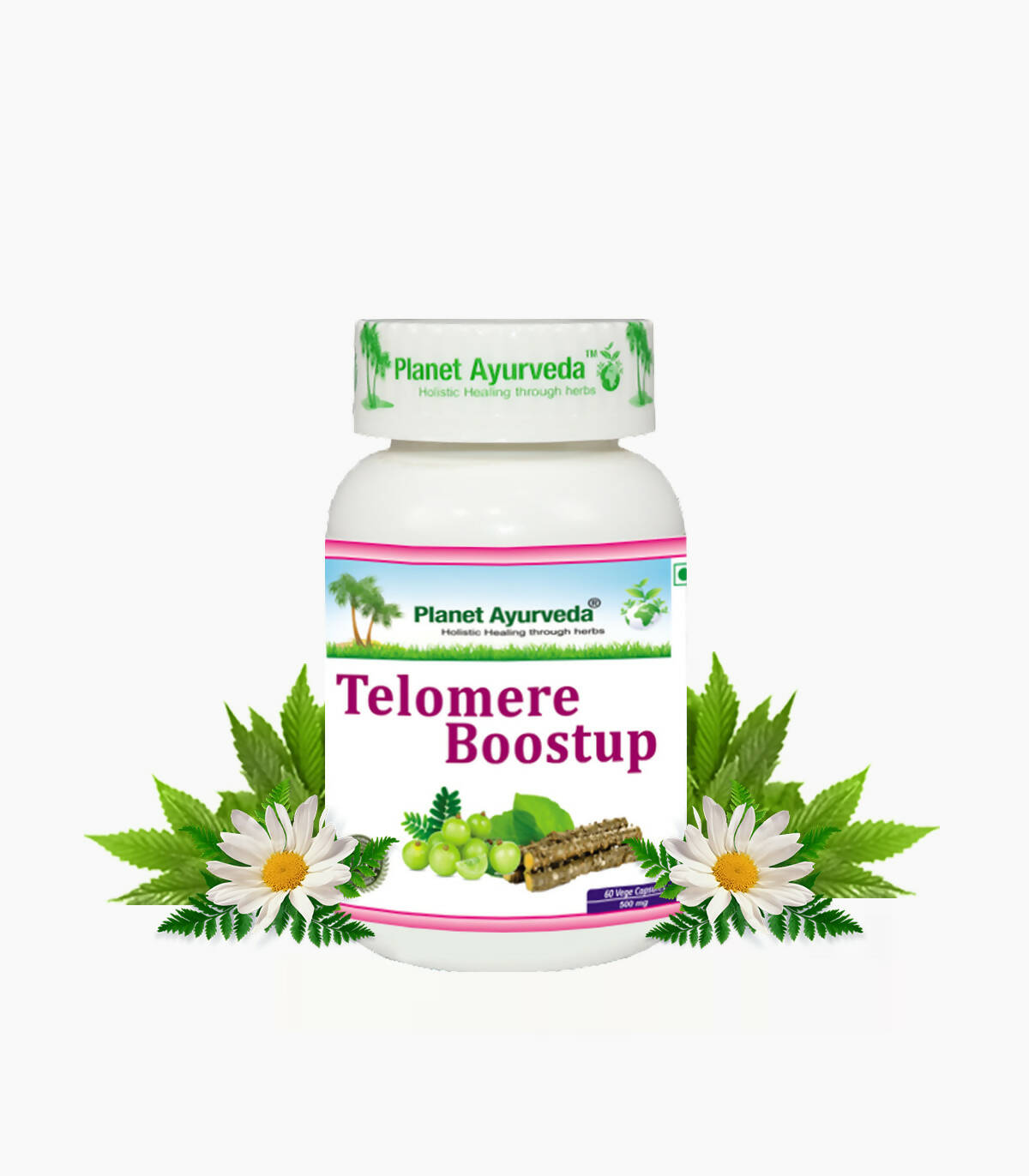 Planet Ayurveda Telomere Boostup Capsules - Planet Ayurveda