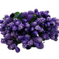 Blue Artificial Flower Pollens