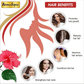 Aromatique Natural Hibiscus Powder