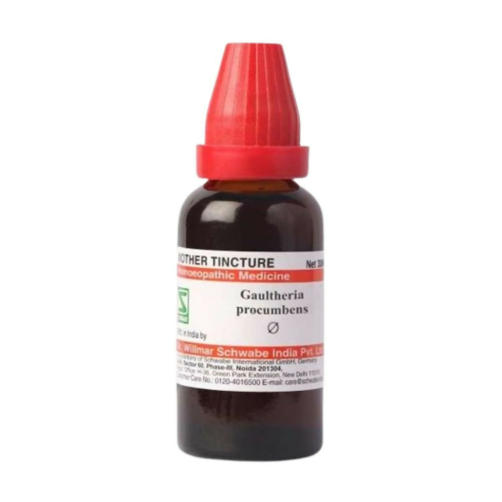 Dr. Willmar Schwabe India Gaultheria Procumbens Mother Tincture Q | Swadesiicart