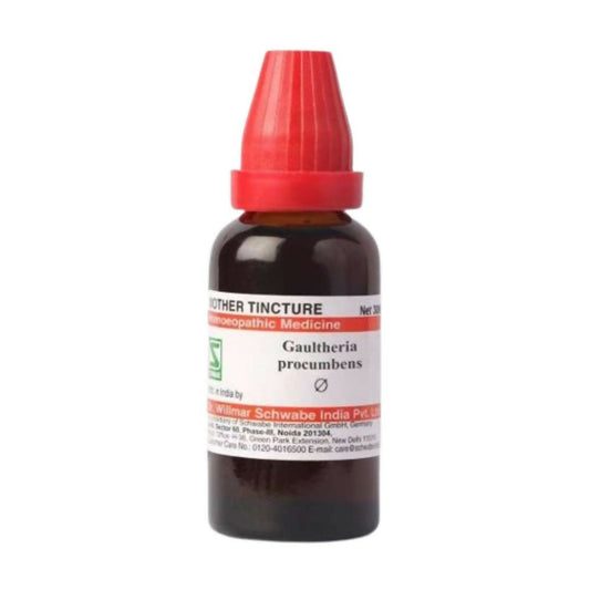 Dr. Willmar Schwabe India Gaultheria Procumbens Mother Tincture Q | Swadesiicart