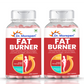 Dr. Morepen Fat Burner Tablets - Swadesiicart