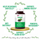 Bliss Welness Neem Biopiperine Tablets - Swadesiicart