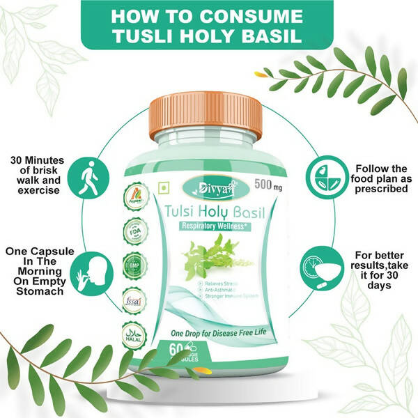 Divya Shree Tulsi Holy Basil Veggie Capsules | Swadesiicart