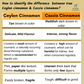 Nxtgen Ayurveda Ceylon Cinnamon Sticks - Swadesiicart