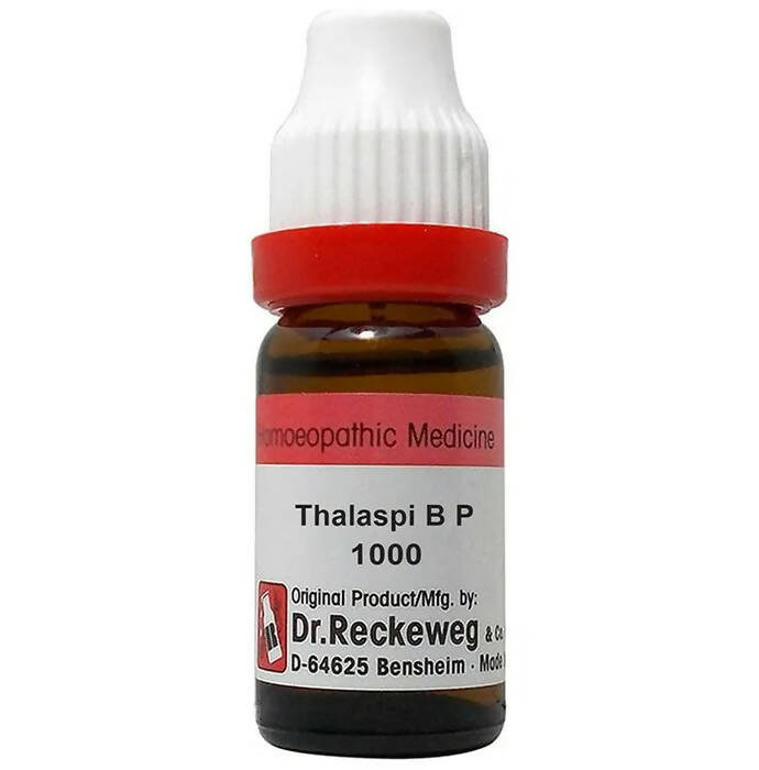 Dr. Reckeweg Thalaspi B P Dilution | Swadesiicart
