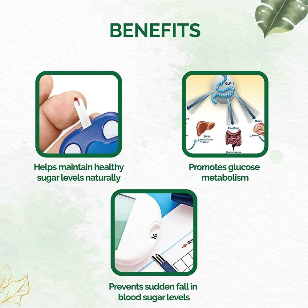 Dr. Vaidya's Diabex Capsules | Swadesiicart