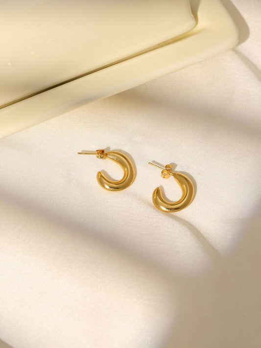 Golden Studs - Ruby Raang | Swadesiicart