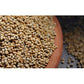 Millet Amma Bajra (Pearl Millet) Organic - Swadesiicart