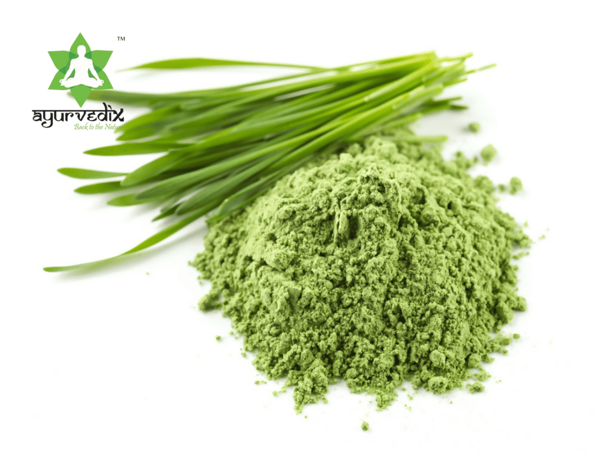 Ayurvedix Organic Wheatgrass Powder - Swadesiicart