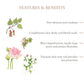 Just Herbs Enriched Skin Tint - 1 Ivory - Swadesiicart
