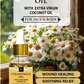Al Masnoon Chamomile Oil (Babuna Oil / Roghan Babuna)