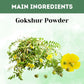 Herbal Hills Gokshur Powder
