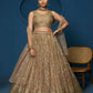 Brown Soft Netzari Embroidery Work Lehenga Choli - Jihu Culture