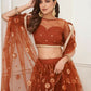 Aastha Fashion Brown Butterfly Net Tone To Tone Thread Work And Mirror Work Embroidery Wedding Wear Lehenga Choli
