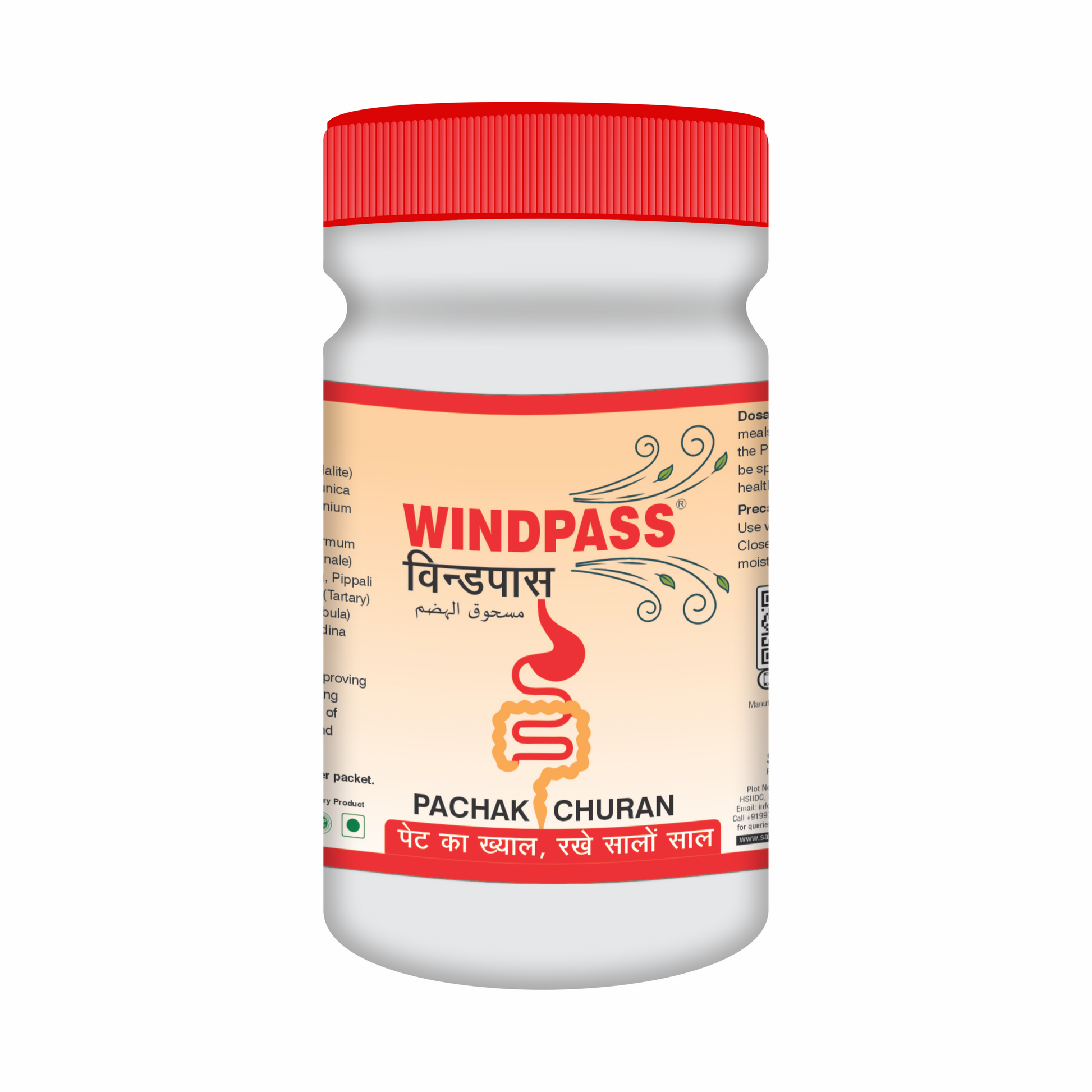 Satya Pharmaceuticals Ayurveda Windpass Pachak Churan | Swadesiicart