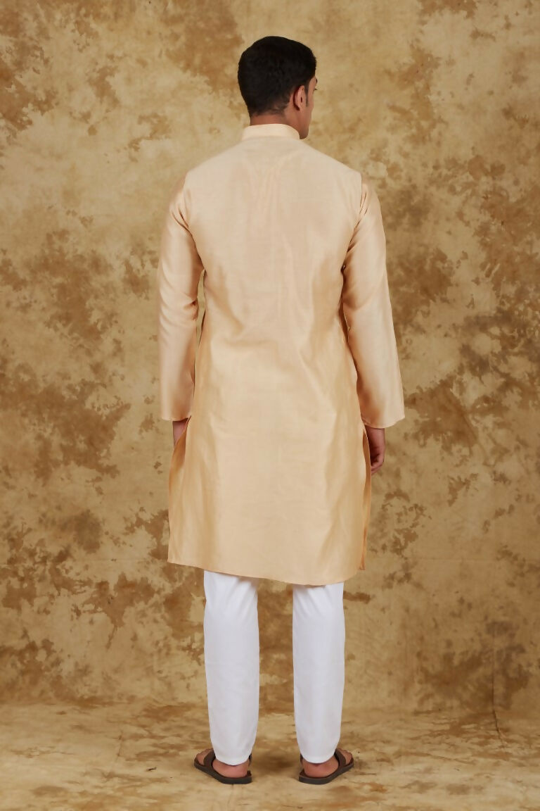 Bluesaanchi Men's Chandery Silk Light Khaki Embroidered Kurta Set | Swadesiicart