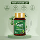 Jagat Pharma Giloy Extract Plus Capsule | Immunity Booster | Swadesiicart
