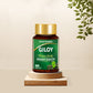 Jagat Pharma Giloy Extract Plus Capsule | Immunity Booster | Swadesiicart