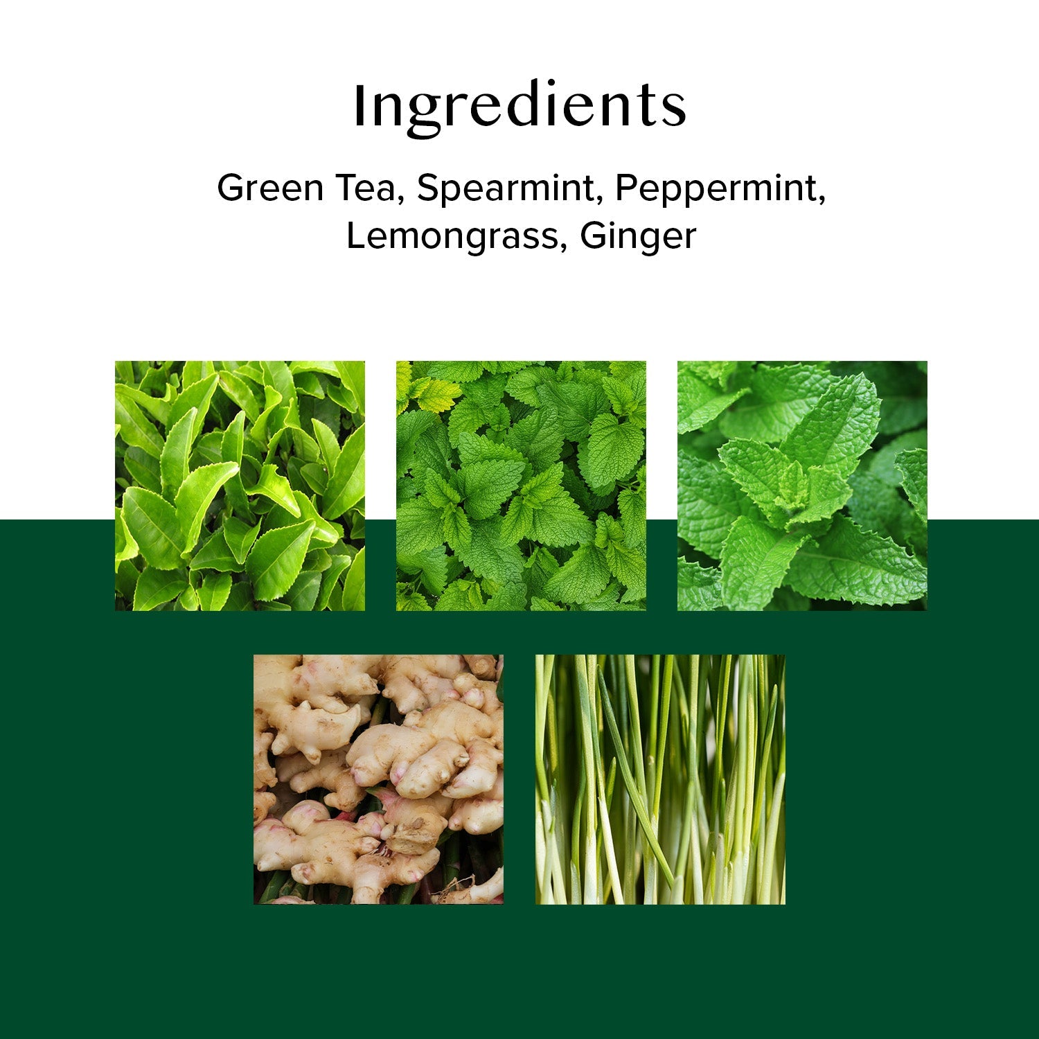 Ginger Mint Green Tea, 3.53 oz