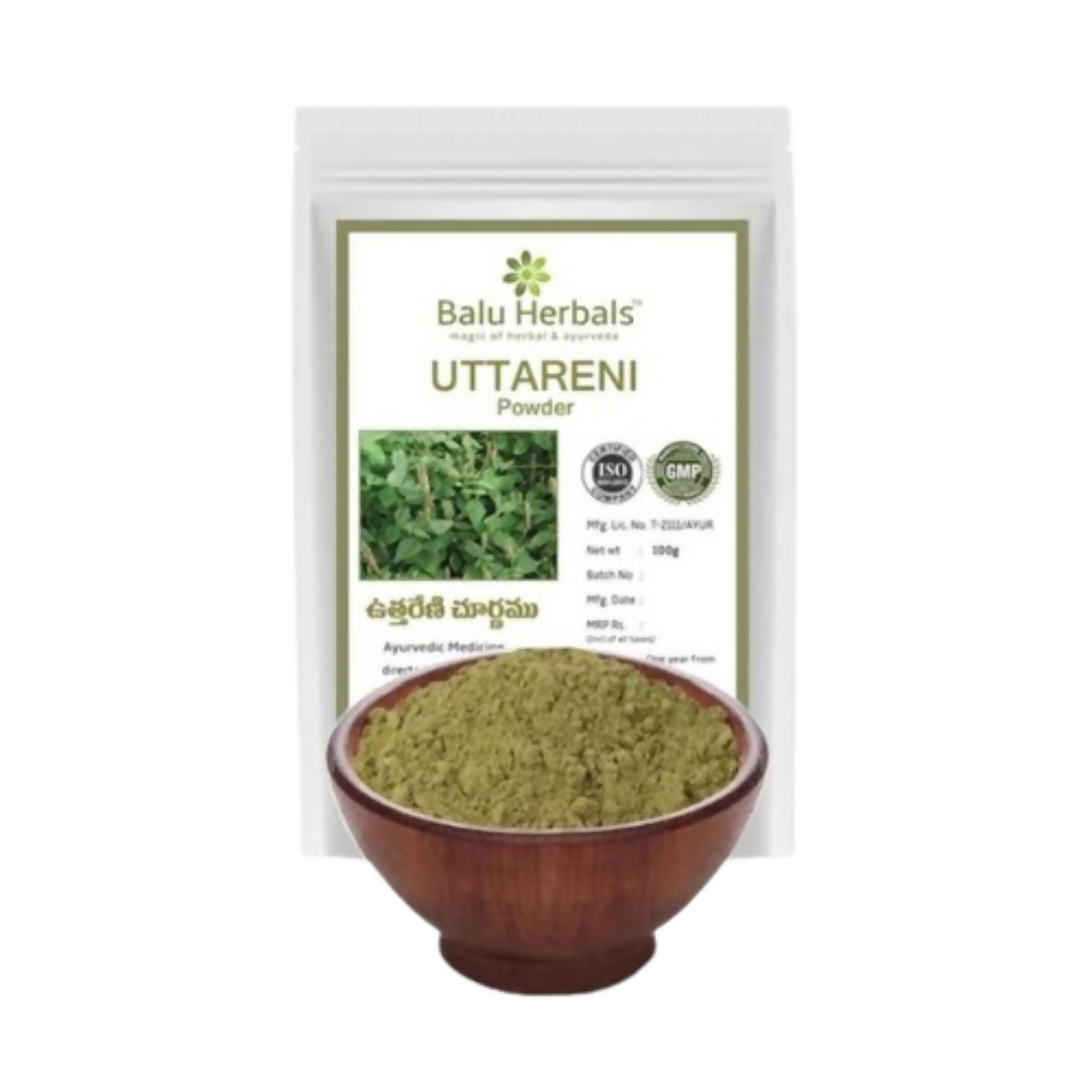 Balu Herbals Apang Seeds (Uttareni Ginjalu) Powder - Balu Herbals