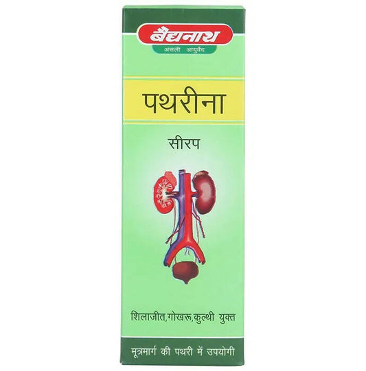 Baidyanath Jhansi Pathreena Syrup - Swadesiicart