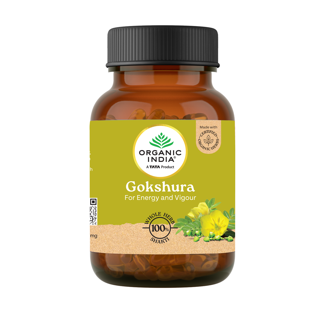 Gokshura Capsules + Shilajit Resin Combo