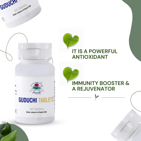 Guduchi (Giloy) Capsules | Immunity Support Naturally
