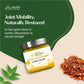 Gulguluthikthaka Ghee (Ghritham) - Herb Infused Ghee for Joint Support