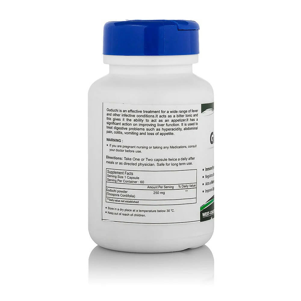 Healthvit Guduchi Capsules - Swadesiicart