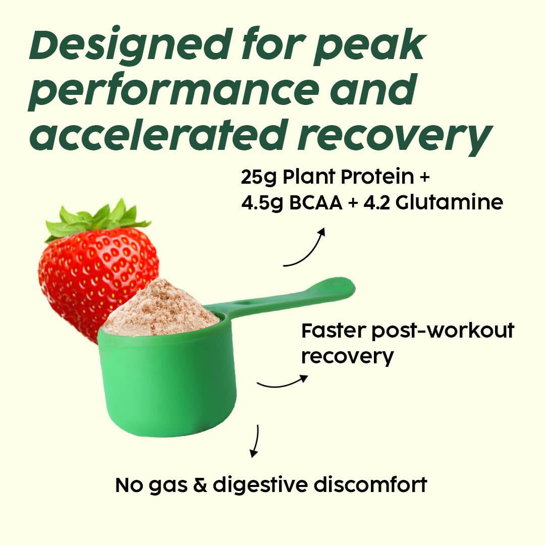 PLIX The Plant Fix Evolve Plant Protein Shake Powder - Mixed Berry | Swadesiicart