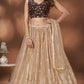 Beige Chinnon Crush Foil Printed Lehenga Choli with Dupatta - Aakriti
