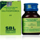SBL Homeopathy Kali Phosphorica Biochemic Tablet