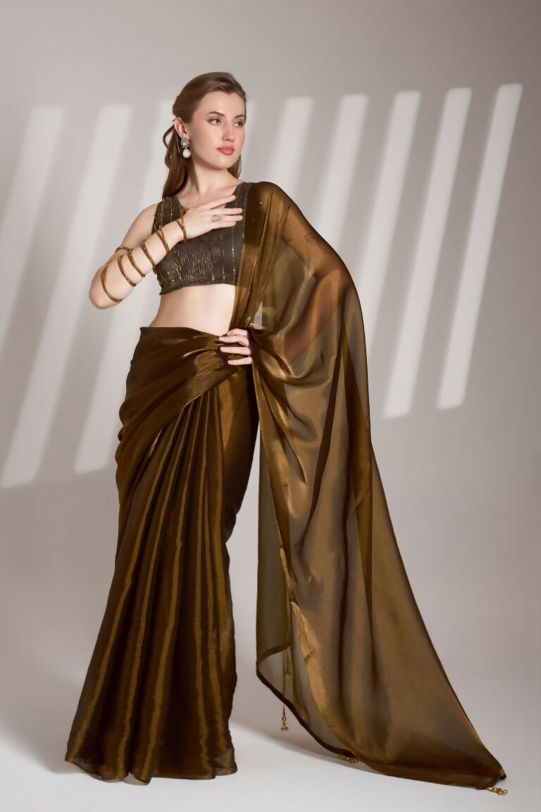 Brown Burberry Organza Solid Fancy Designer Saree - Nafisa