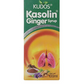 Kudos Ayurveda Kasolin Ginger Syrup