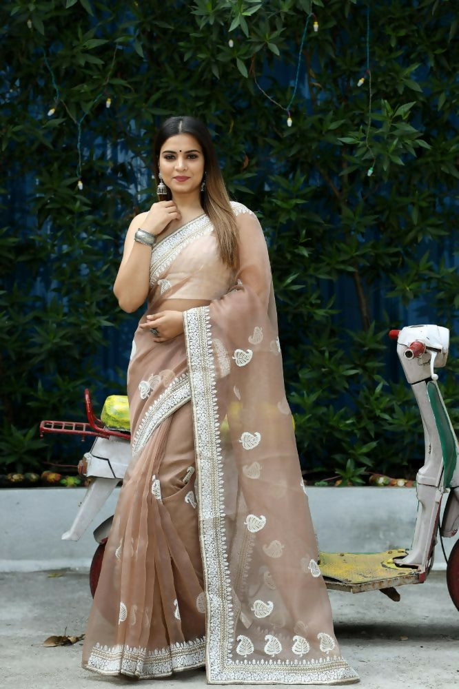 Vamsee Cotton Kerry Grey Organza Saree - Swadesiicart