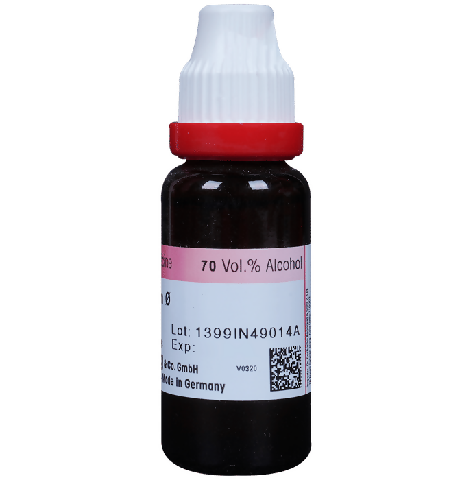 Dr. Reckeweg Allium Sativum Mother Tincture Q | Swadesiicart