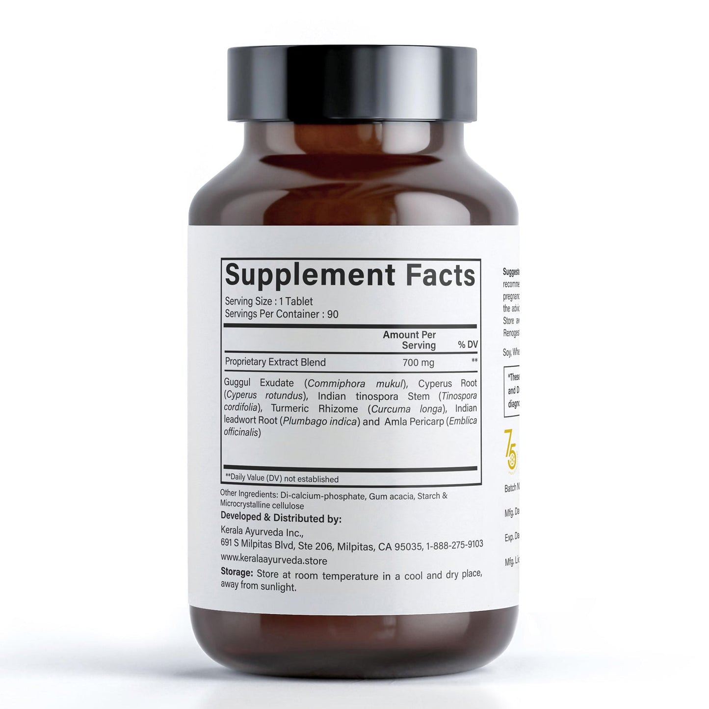 Healthy Kidneys - Renogest (90 Tablets)