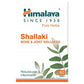 Himalaya Shallaki