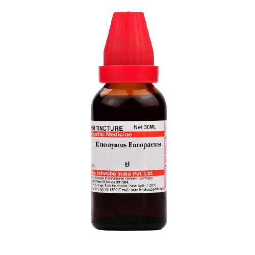 Dr. Willmar Schwabe India Euonymus Europaeus Mother Tincture Q | Swadesiicart