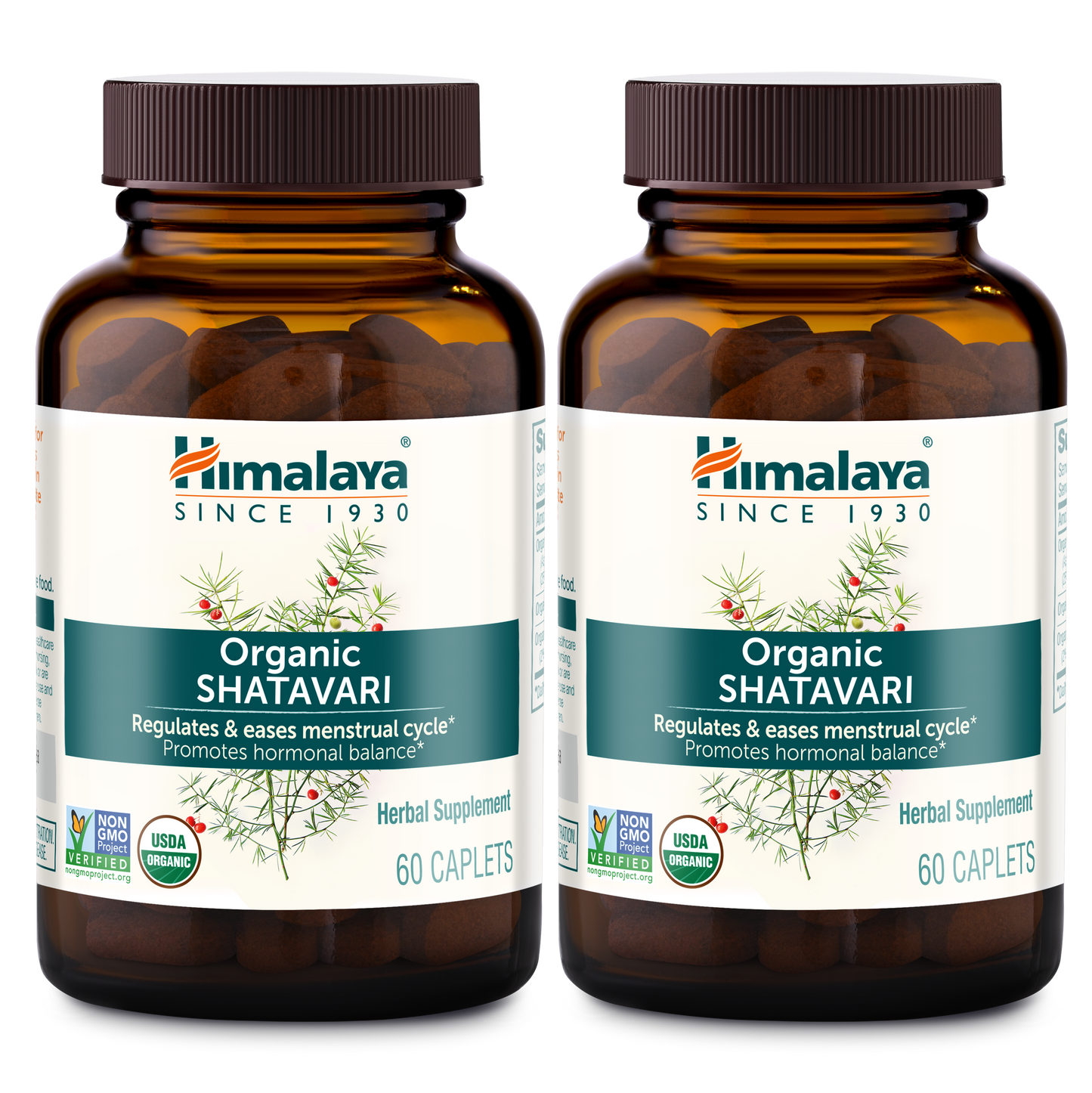 Organic Shatavari