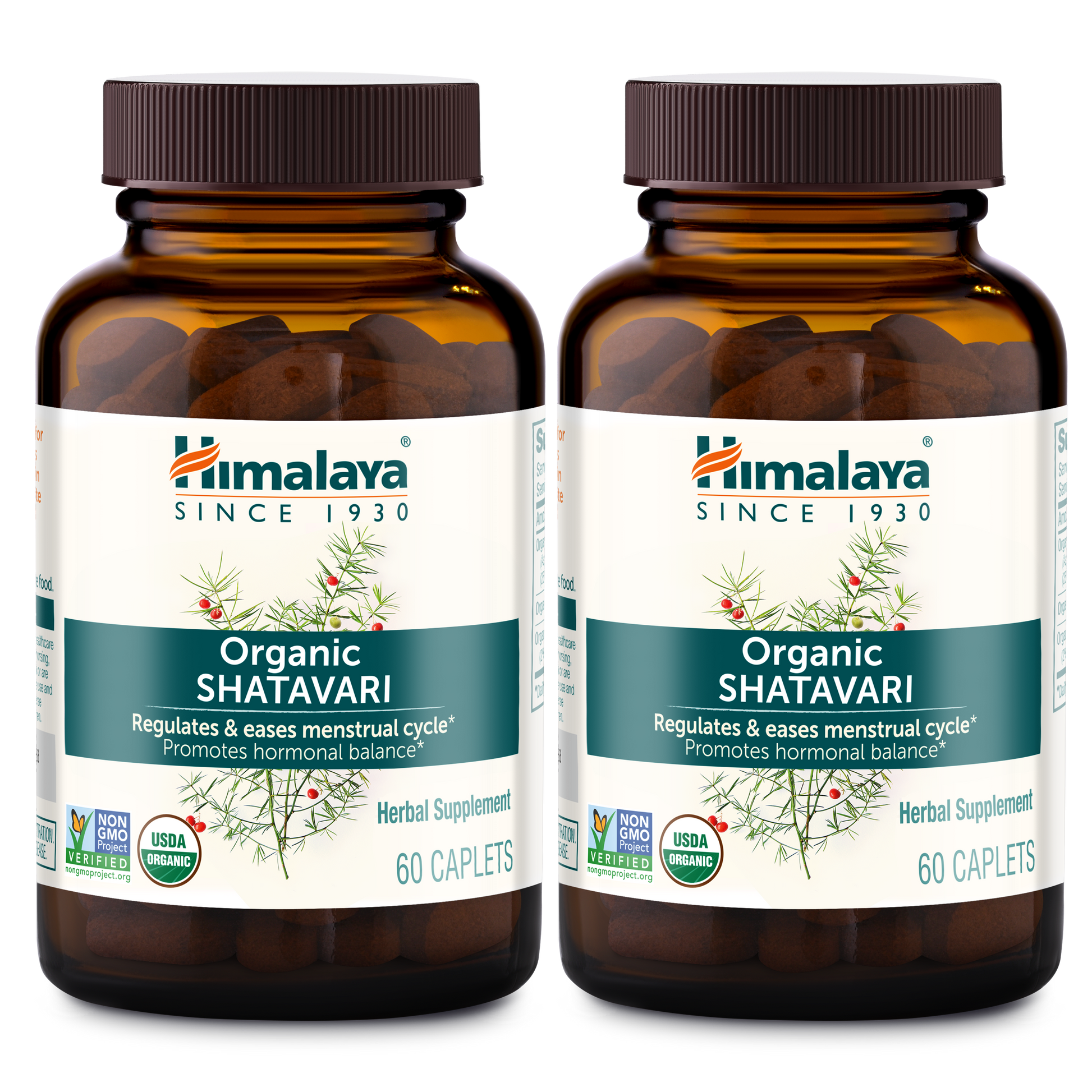 Organic Shatavari