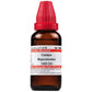 Dr. Willmar Schwabe India Catalpa Bignonioides Dilution | Swadesiicart