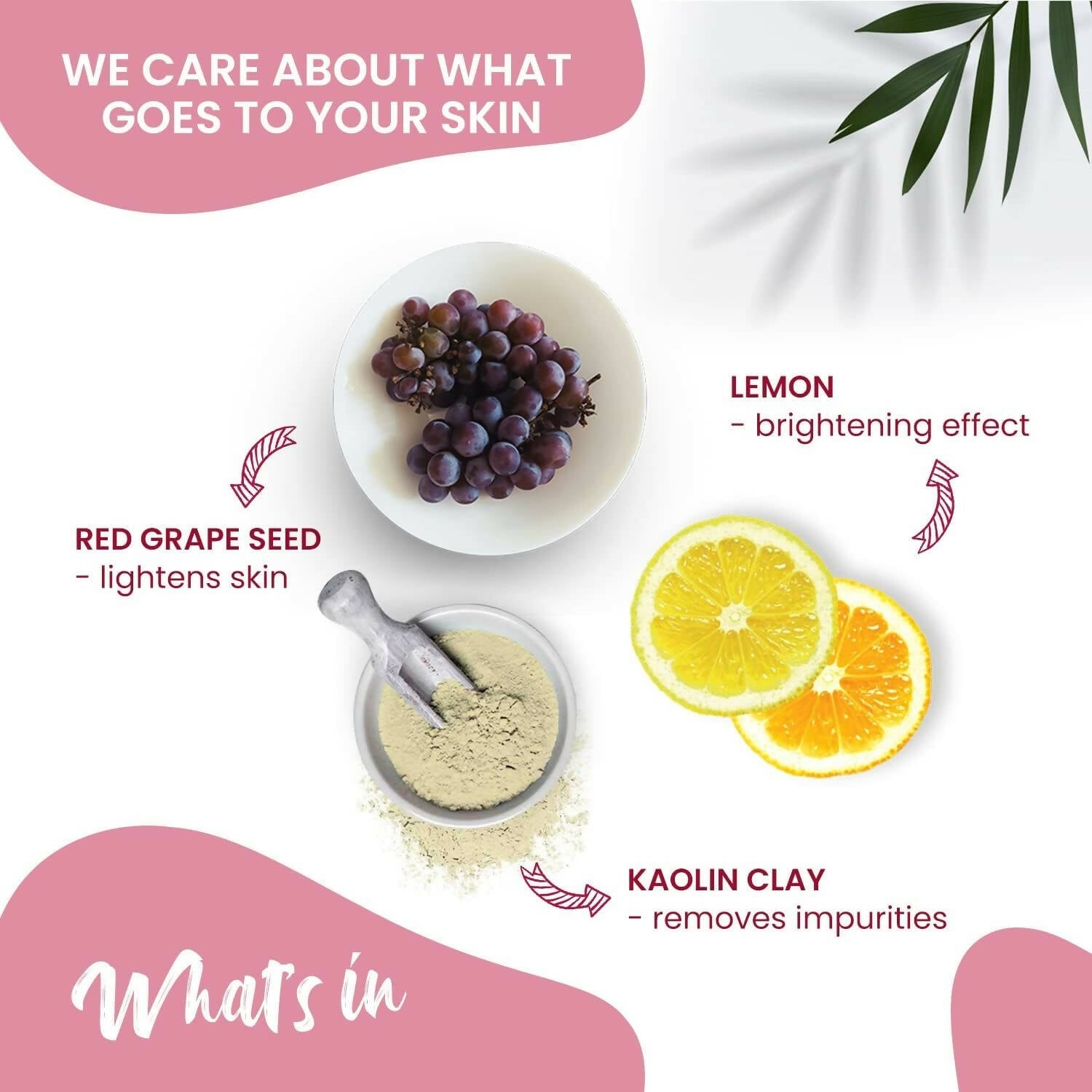 NutriGlow NATURAL'S Advanced Pro Formula Wine Face Pack - Swadesiicart
