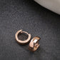 NVR Men's Rose Gold Stainless Steel Hoop Earrings - NR Retail-NVR