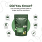 Sorich Organics Pudina Treat Pumpkin Seeds - Swadesiicart