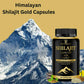 Nutriley Sj Gold Capsules For Men - Swadesiicart