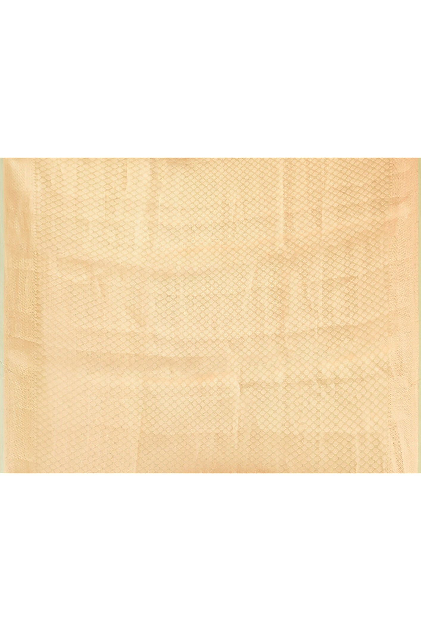 Joban Fashion Green Pure Banarasi Tissue Saree | Swadesiicart