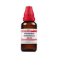 Dr Willmar Schwabe India Chenopodium Anthelminticum Dilution